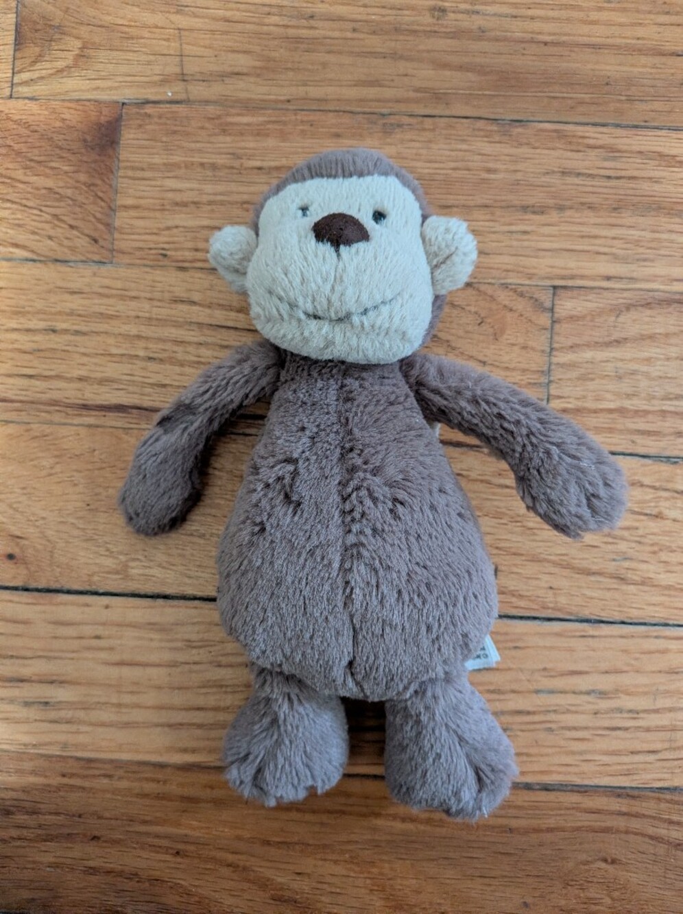 Jellycat Monkey Small